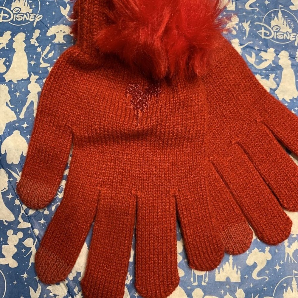 Disney Best Day Ever Magic Kingdom  Winter Gloves